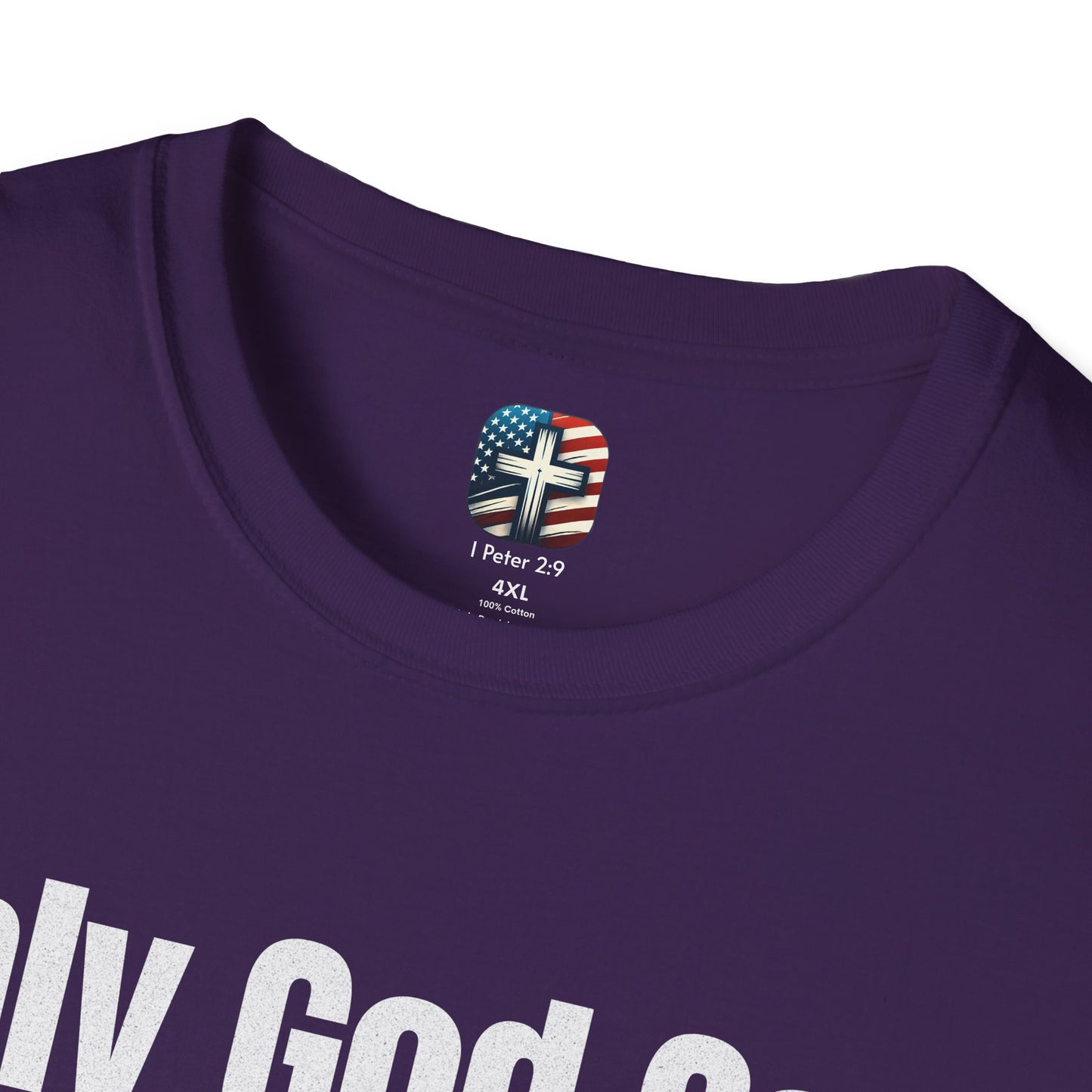 "Only God Can - Transform Pain Into Purpose" Unisex Softstyle T-Shirt
