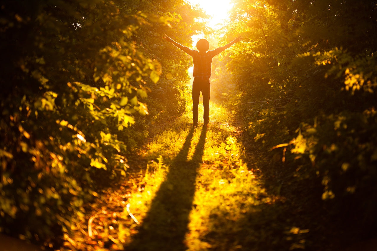 silhouette of person in sun and leaves