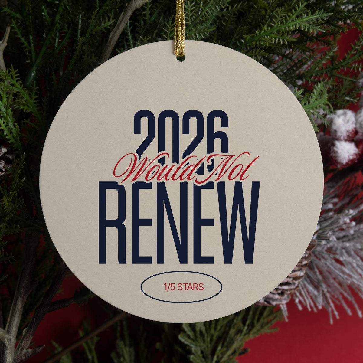 2026 year in review Christmas ornament that says Would Not Renew