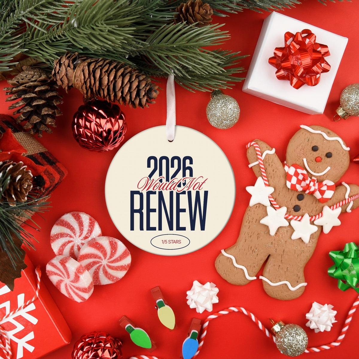 2026 year in review Christmas ornament Would Not Renew, view 8