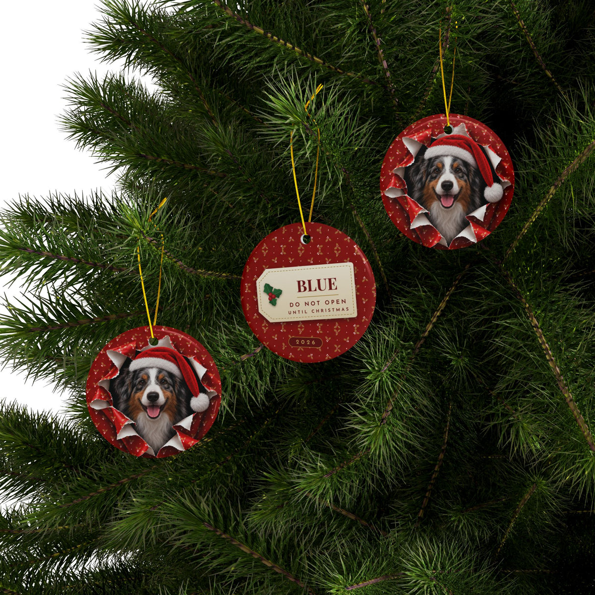 Three Australian Shepherd ornaments hanging on a Christmas tree