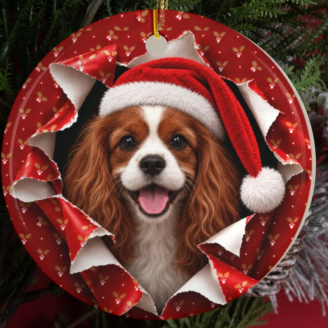 Cavalier King Charles gift wrap burst ornament video