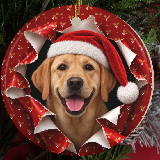 Yellow Lab gift wrap burst ornament video