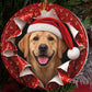 Yellow Lab gift wrap burst ornament video