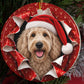 Labradoodle gift wrap burst ornament video