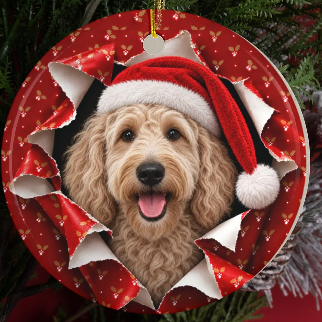 Labradoodle gift wrap burst ornament video