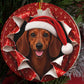 Dachshund gift wrap burst ornament video