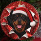 Rottweiler gift wrap burst ornament video