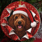 Goldendoodle gift wrap burst ornament video