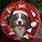 Australian Shepherd gift wrap burst ornament video