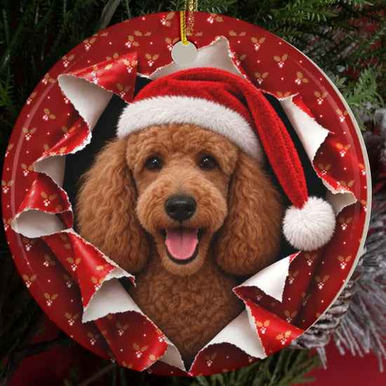 Poodle gift wrap burst ornament video