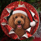 Poodle gift wrap burst ornament video