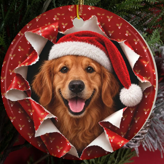Golden Retriever gift wrap burst ornament video