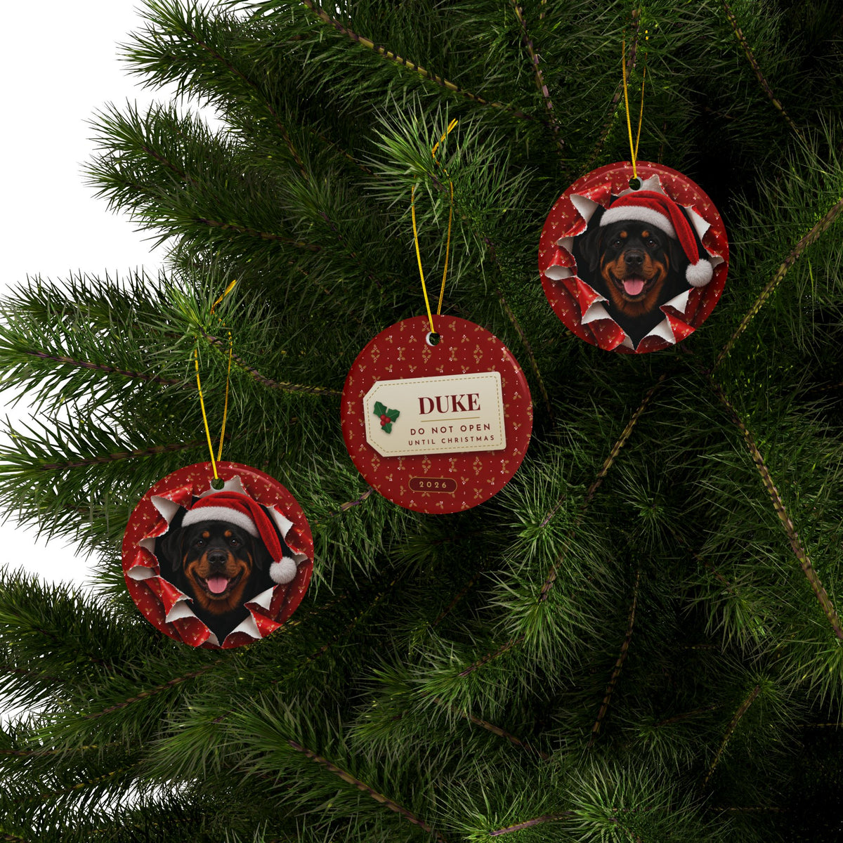 Three Rottweiler ornaments hanging on a Christmas tree